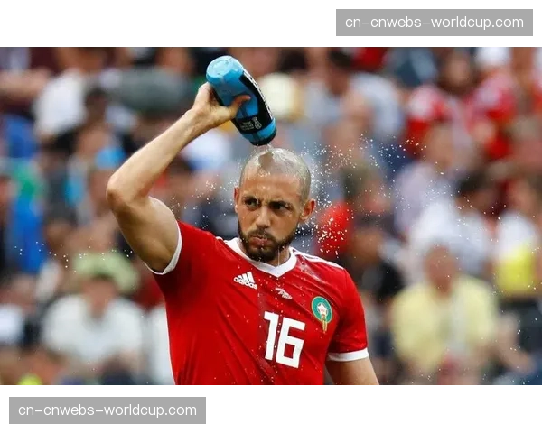 德甲将试行“ concussion subs ”（脑震荡换人）规则，保护球员健康